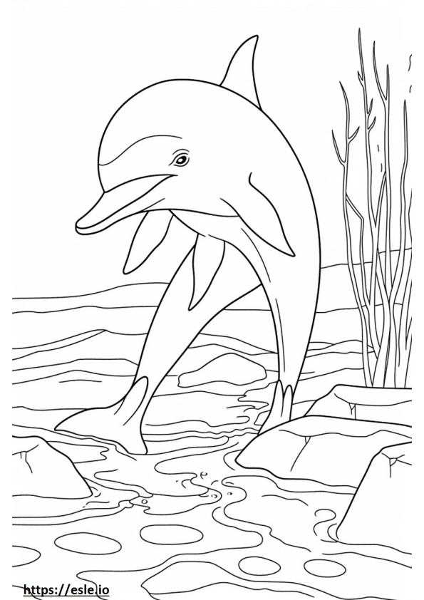 Golfinho-nariz-de-garrafa brincando para colorir
