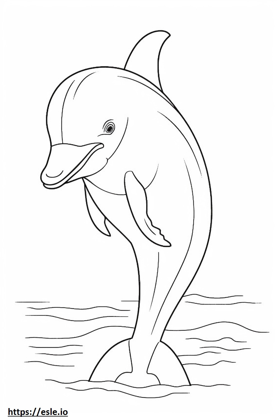 Bottlenose Dolphin Kawaii coloring page