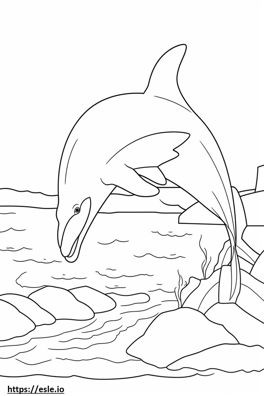 Pullonokkainen delfiiniystävällinen värityskuva