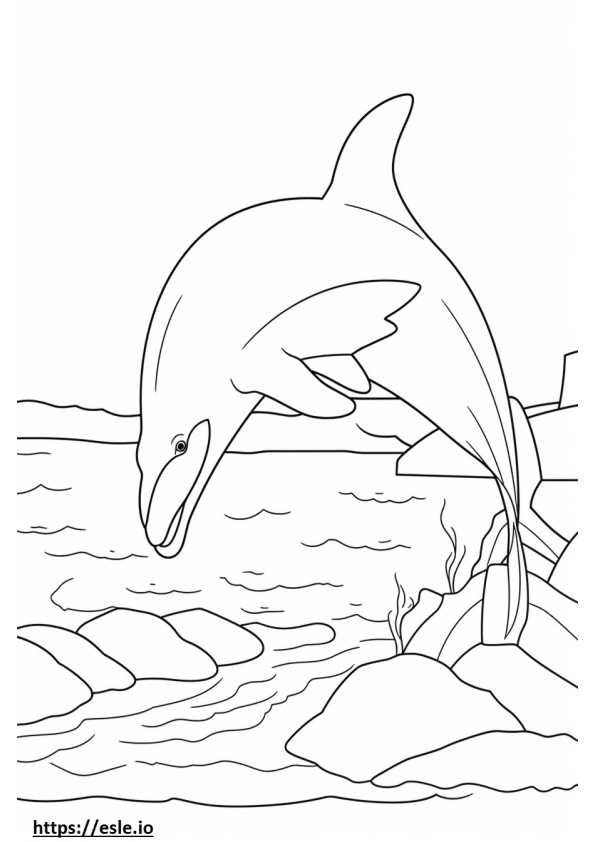 Pullonokkainen delfiiniystävällinen värityskuva