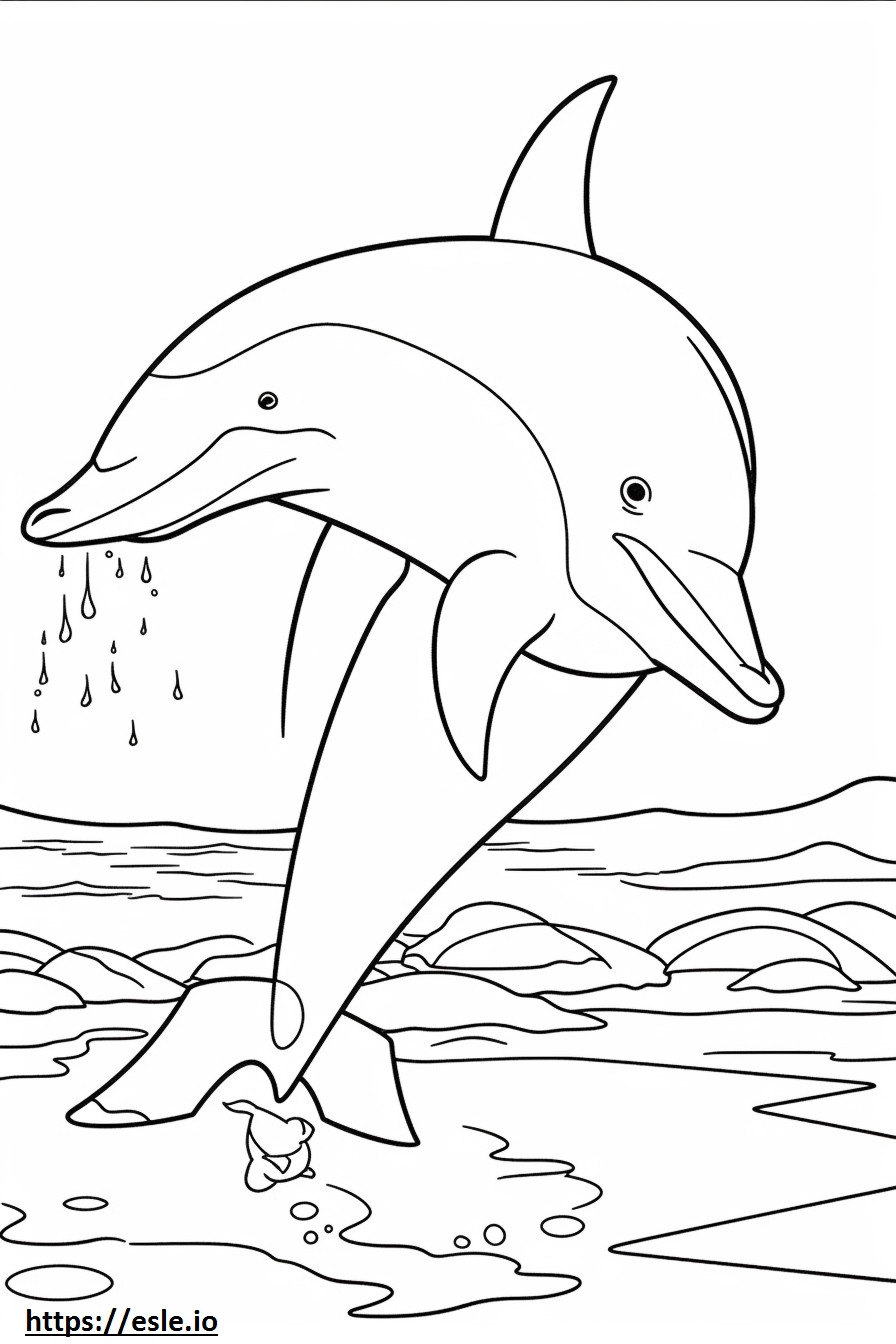 Bottlenose Dolphin Friendly coloring page