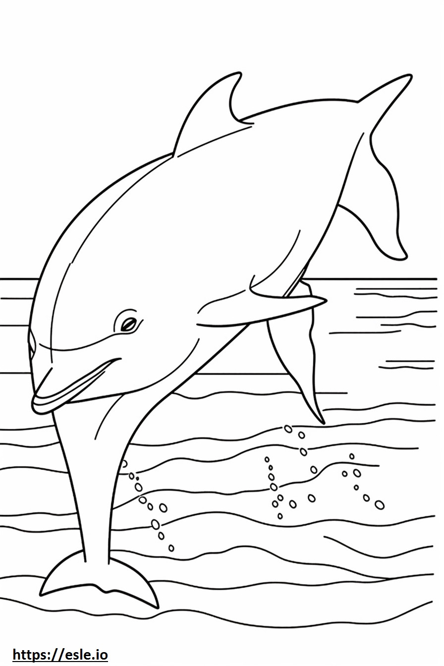 Apto para delfines mulares para colorear e imprimir