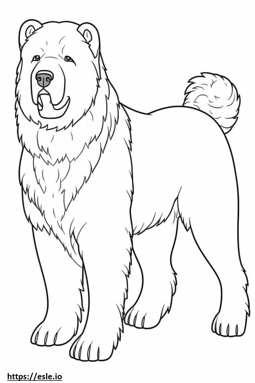 Bouvier Des Flandres full body coloring page