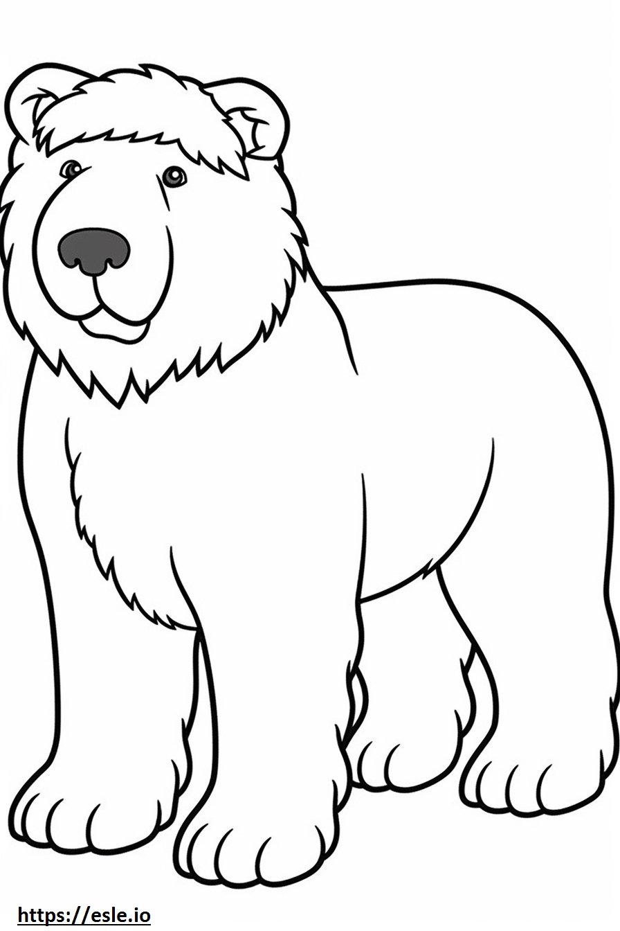 Bouvier Des Flandres, cucciolo da colorare