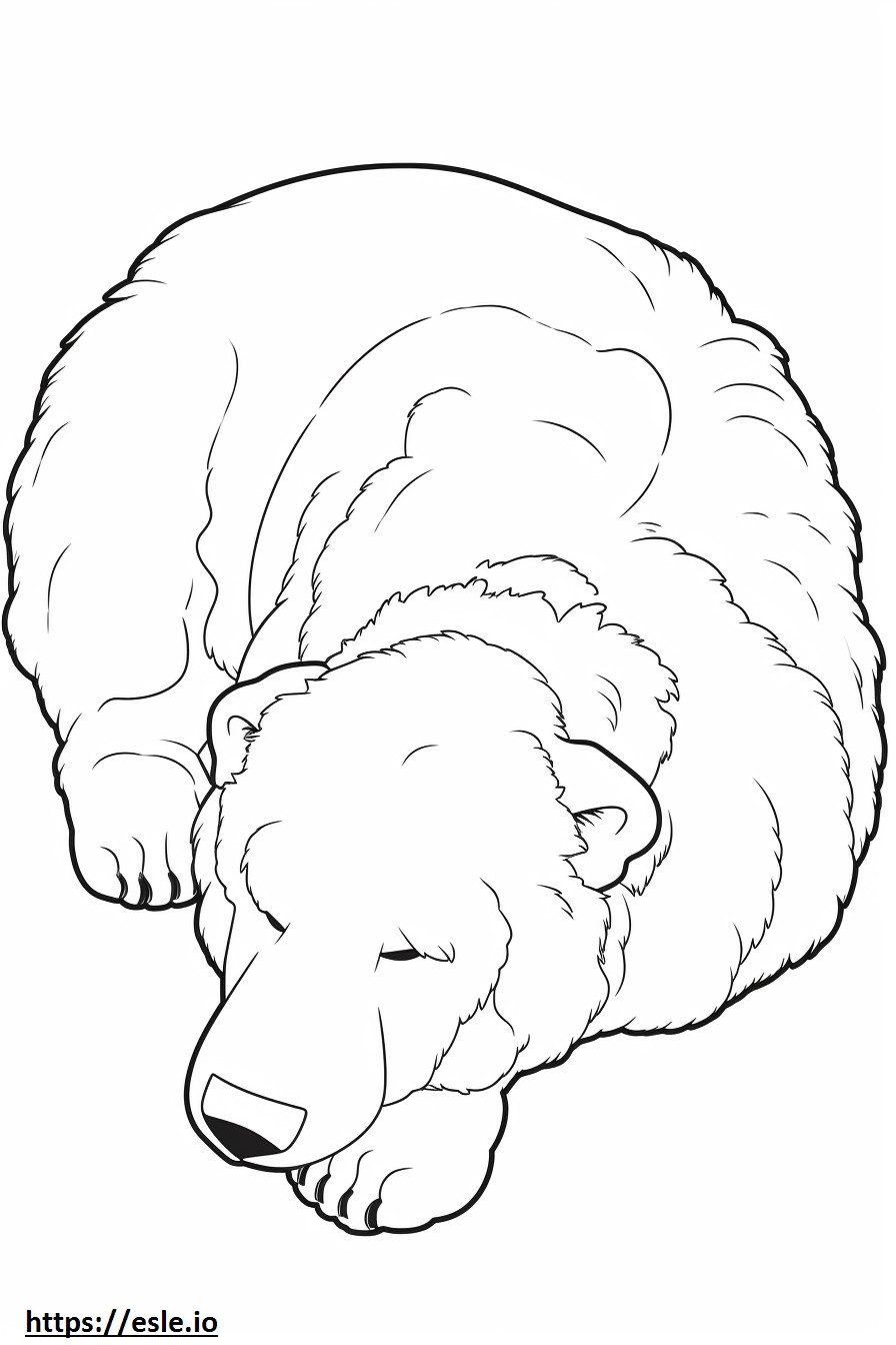Bouvier Des Flandres Sleeping coloring page
