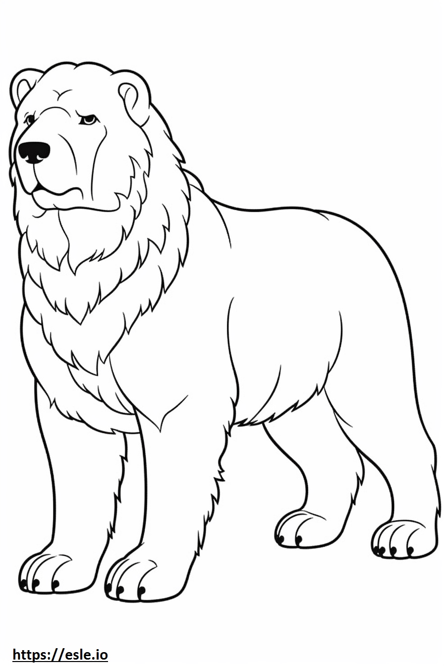 Bouvier Des Flandres Playing coloring page