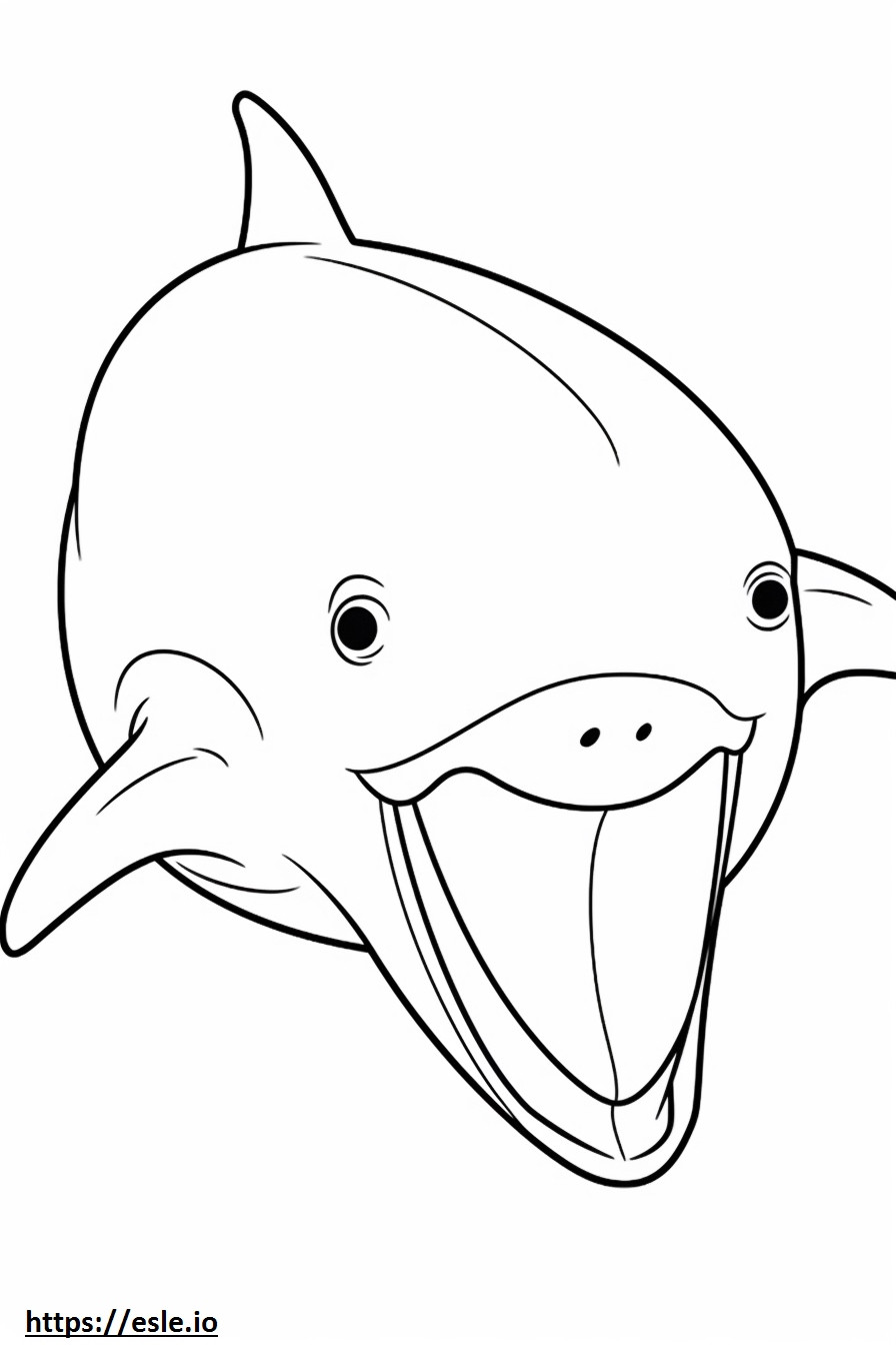 Bowhead Whale kasvot värityskuva