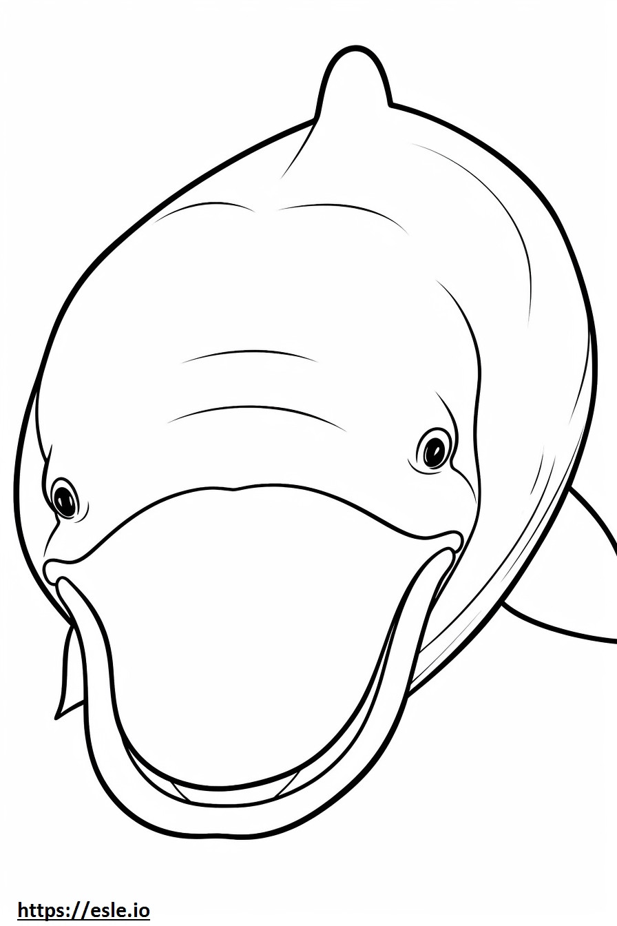 Gesicht eines Grönlandwals ausmalbild