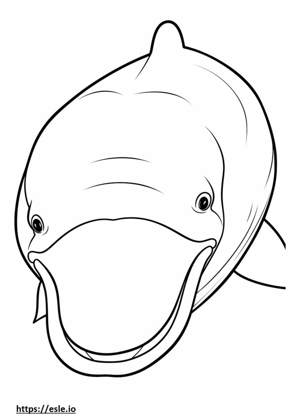 Groenlandse walvis gezicht kleurplaat