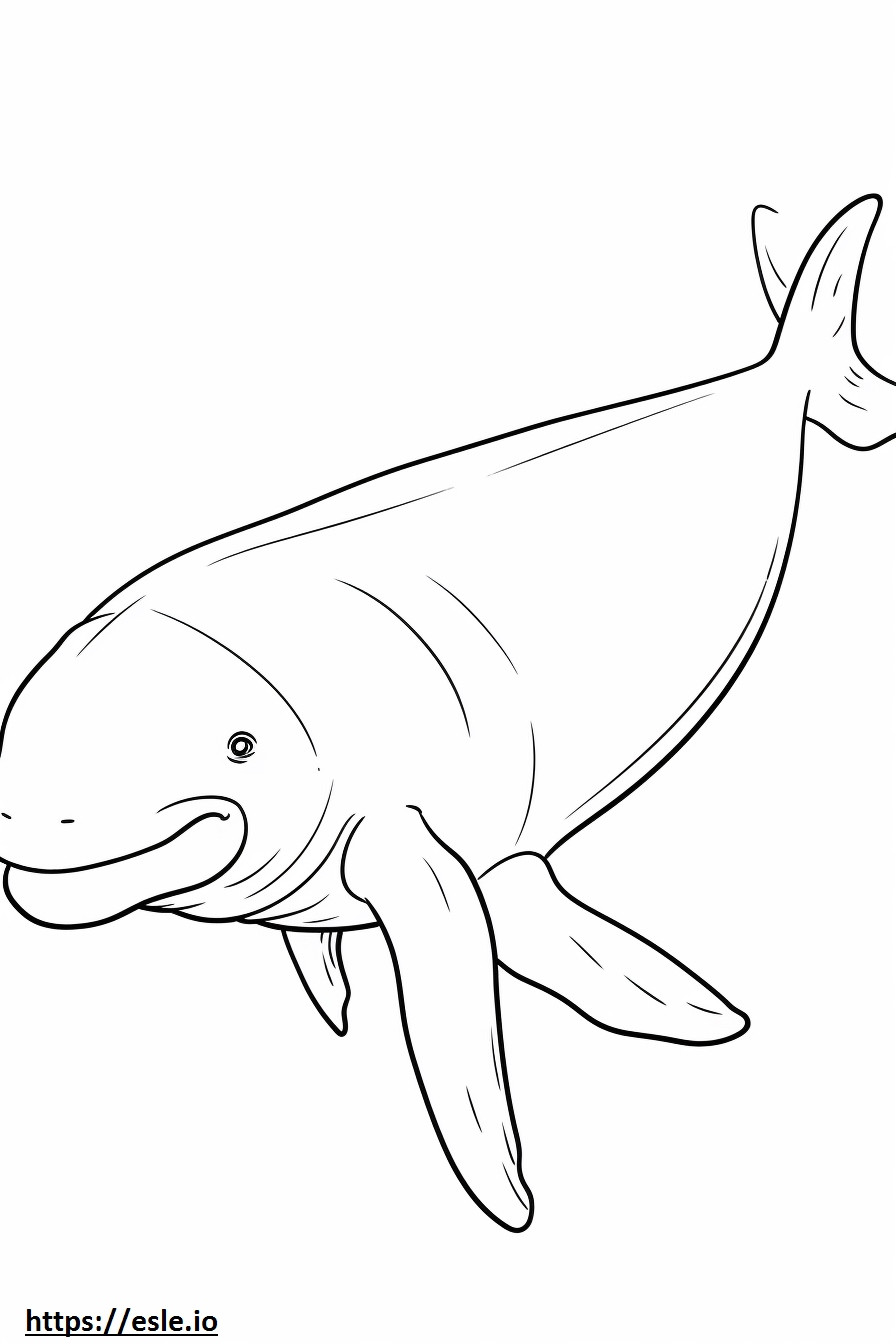 Całe ciało wieloryba Bowhead kolorowanka