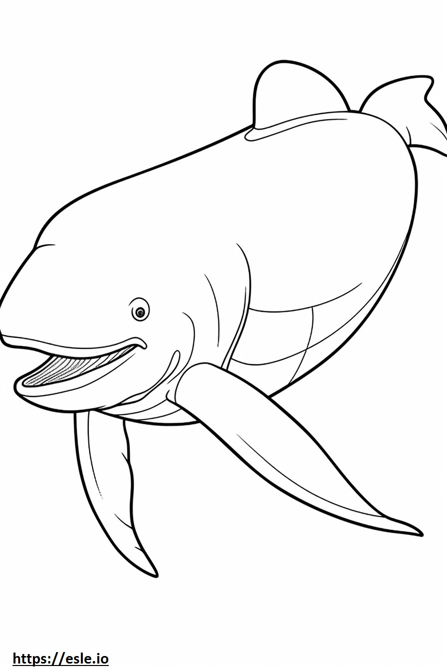 Copil de balenă Bowhead de colorat
