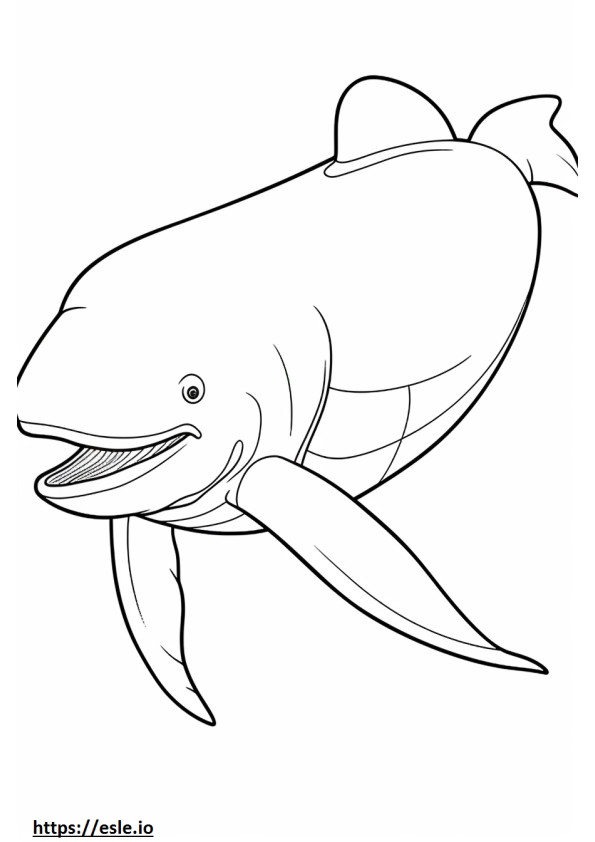 Coloriage Bébé baleine boréale à imprimer
