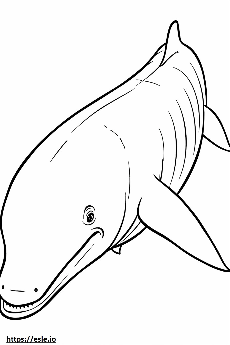 ホッキョククジラの赤ちゃん ぬりえ - 塗り絵