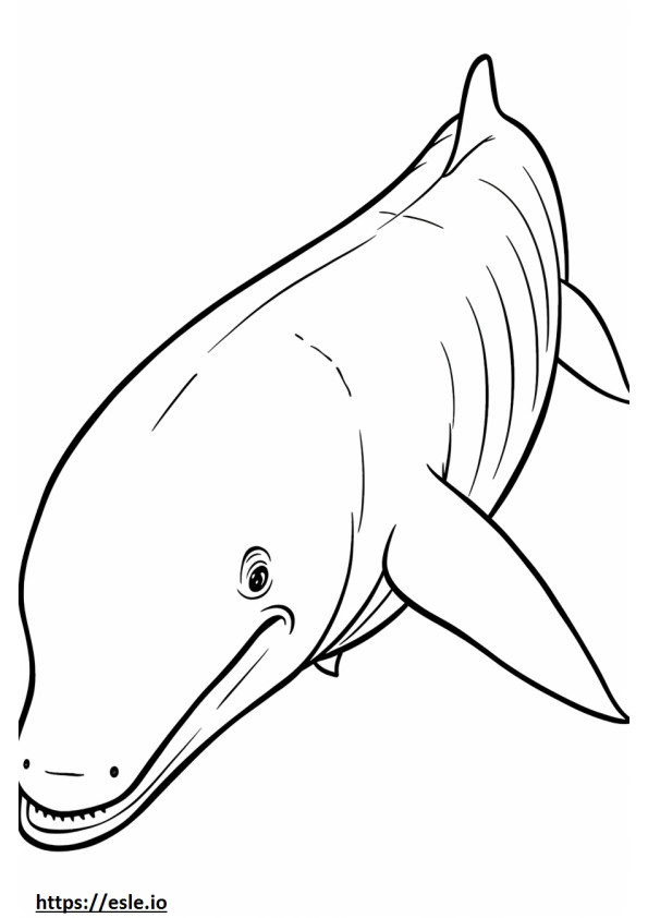 Copil de balenă Bowhead de colorat