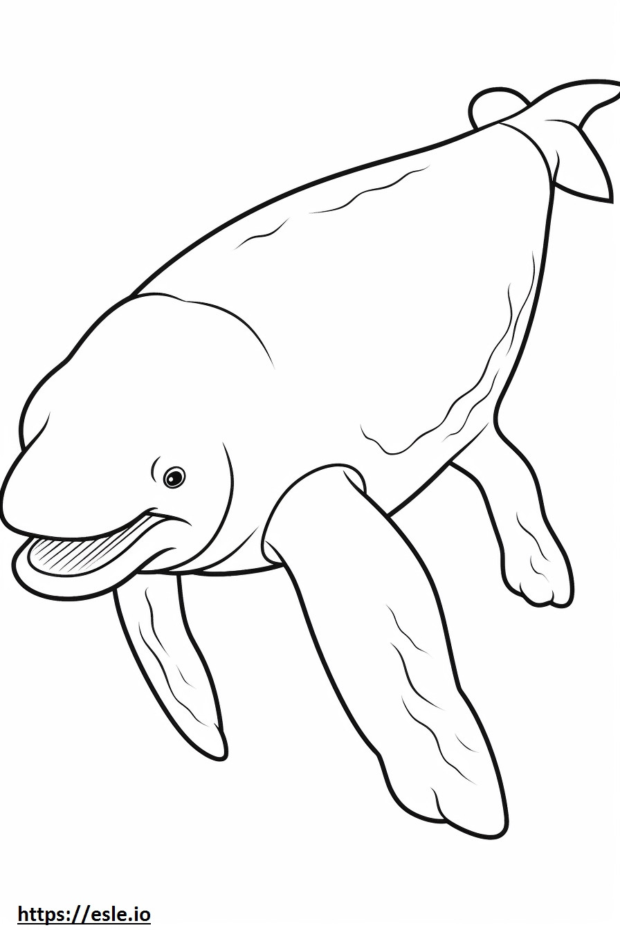 Dziecko wieloryba Bowhead kolorowanka