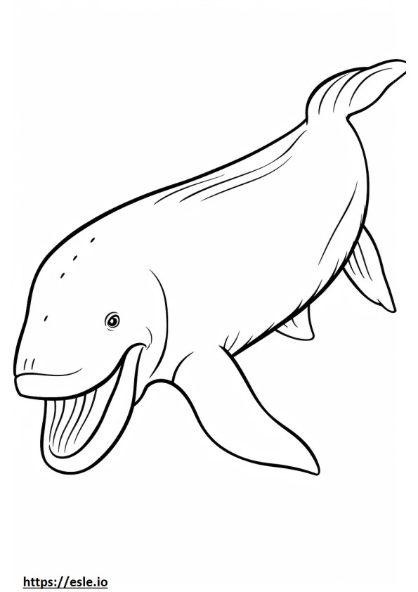 Dziecko wieloryba Bowhead kolorowanka