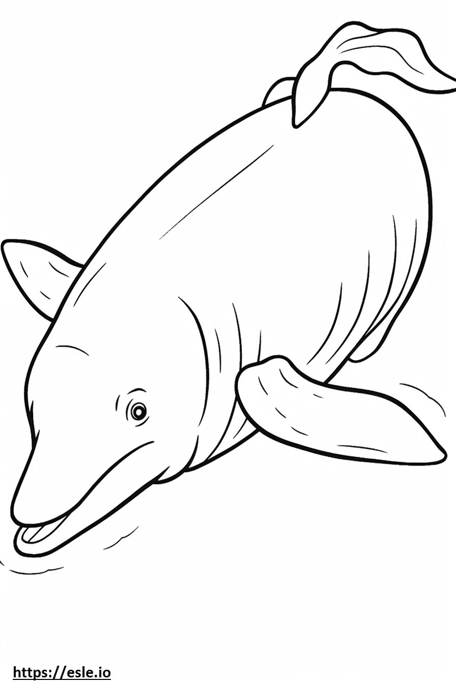 Desene animat cu balena Bowhead de colorat
