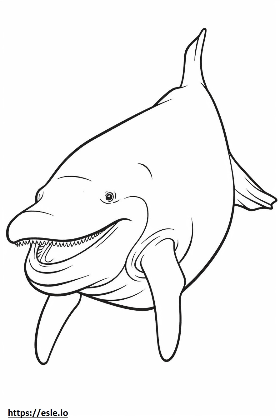 Bowhead Whale sarjakuva värityskuva