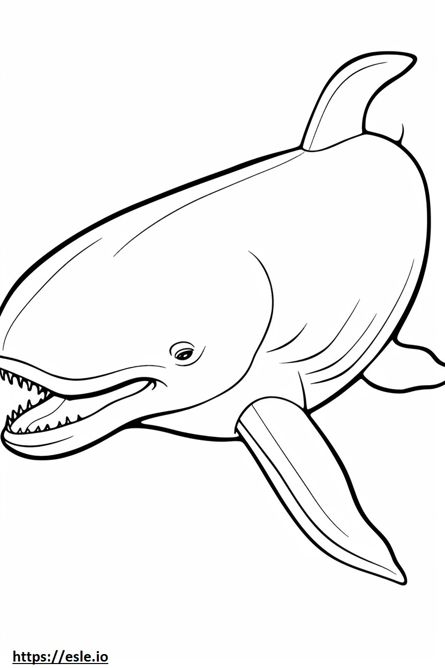 Dibujos animados de ballena de Groenlandia para colorear e imprimir