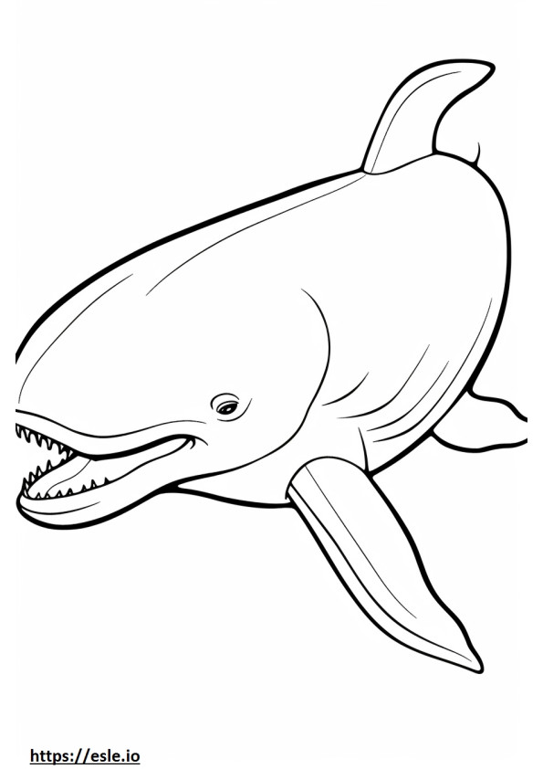 Bowhead Whale sarjakuva värityskuva