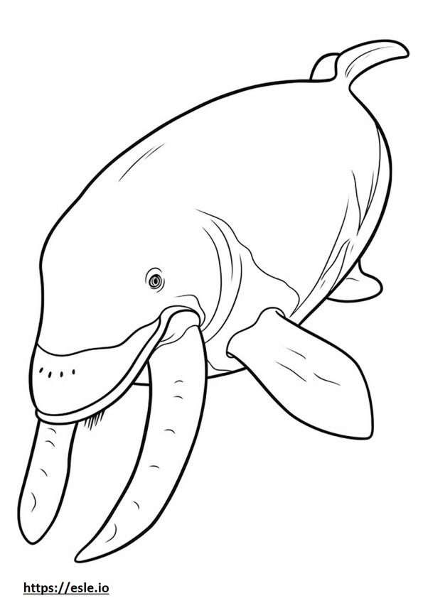 Bowhead Whale drăguță de colorat