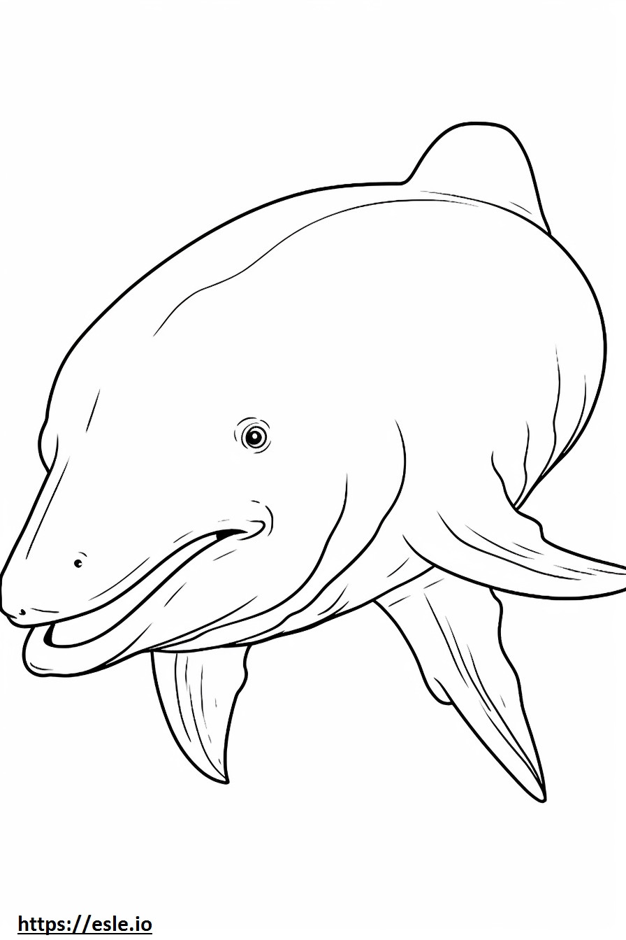 Bowhead Whale cute coloring page