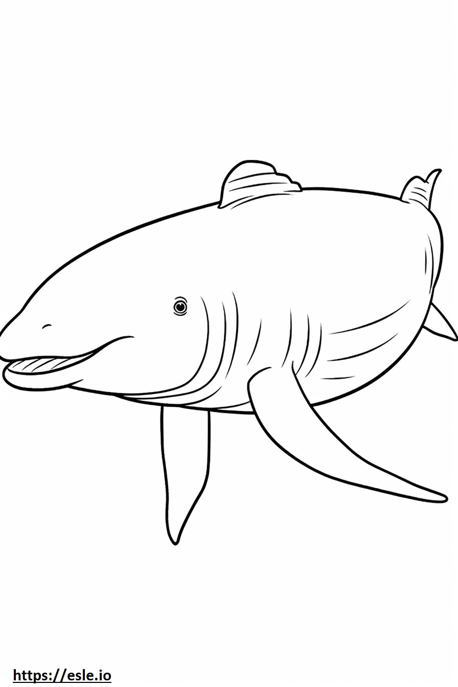 Bowhead Whale söpö värityskuva