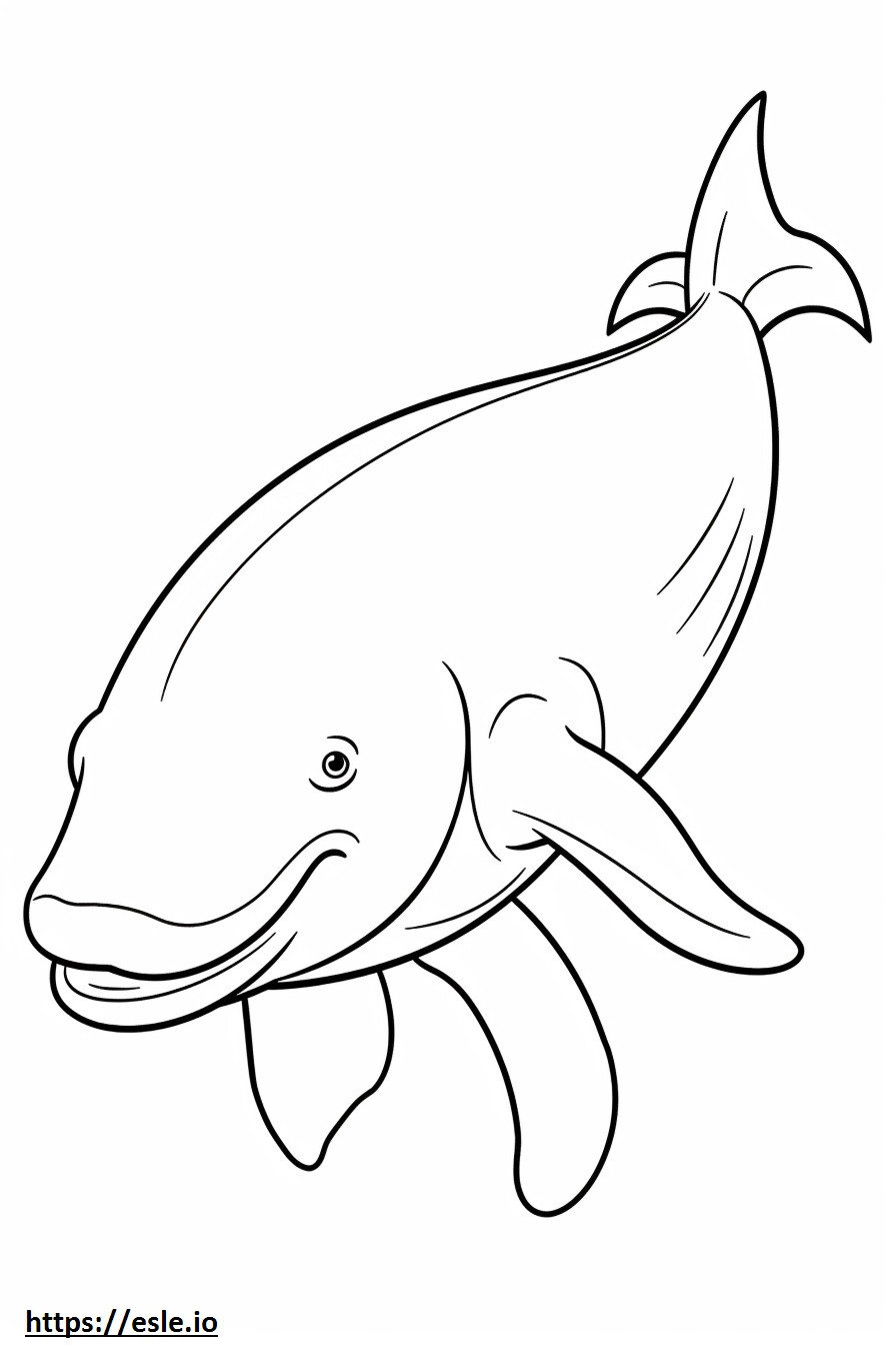 Baleia Bowhead feliz para colorir