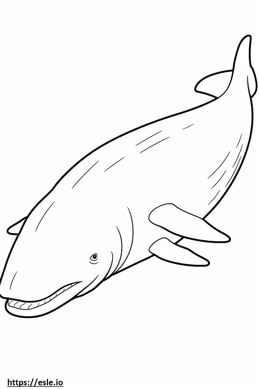 Baleia-da-groenlândia dormindo para colorir