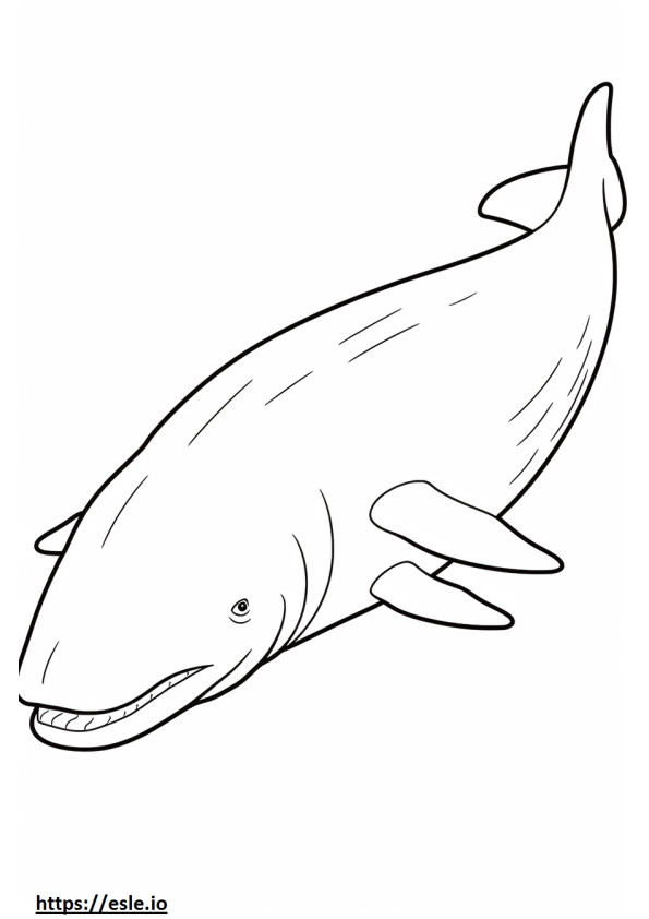 Bowhead Whale Sleeping coloring page