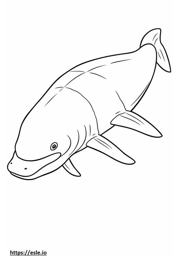 Balena Bowhead Dormite de colorat