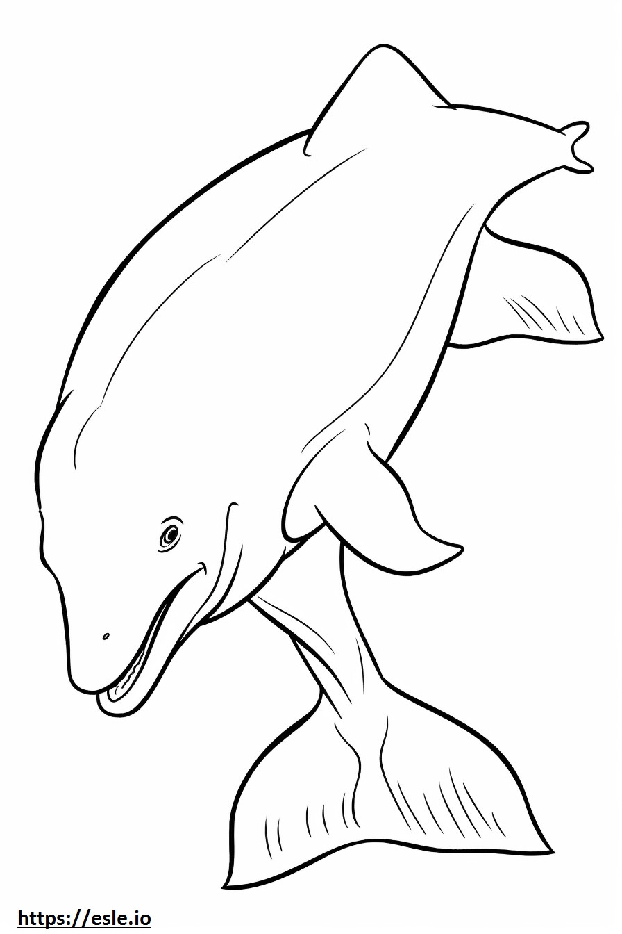 Bowhead Whale Playing coloring page