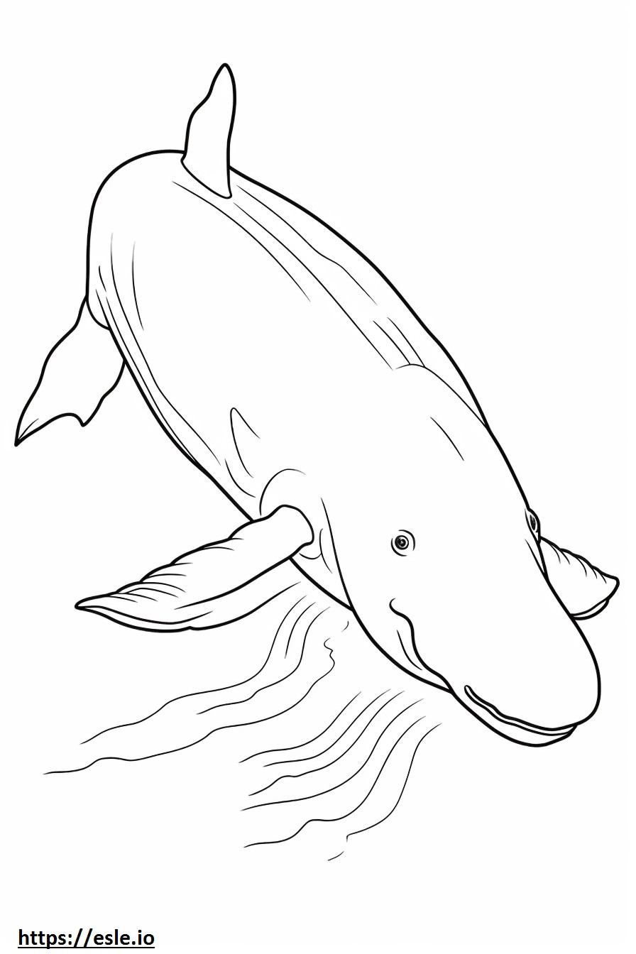 Bowhead Whale Playing coloring page