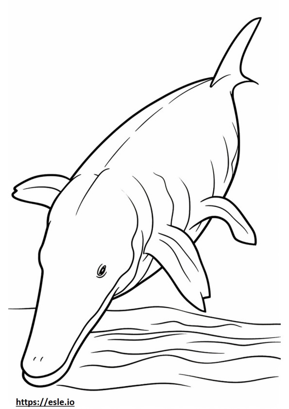 Baleia-da-groenlândia brincando para colorir