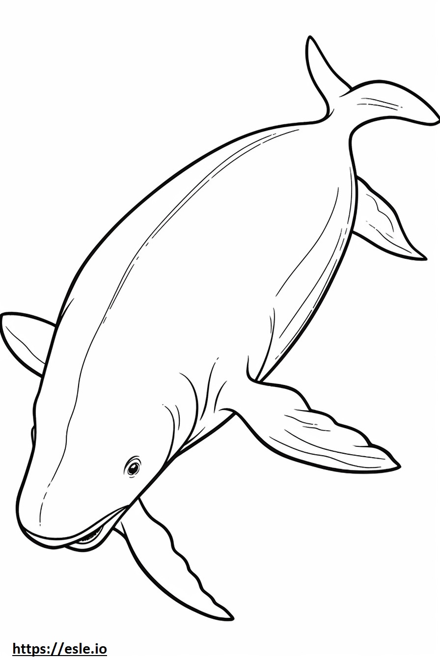 Coloriage Baleine boréale jouant à imprimer
