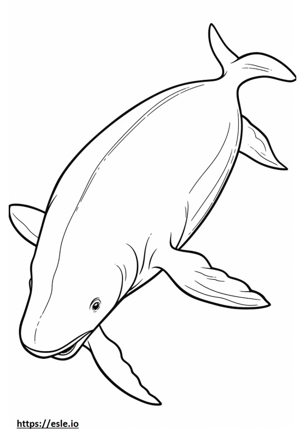 Baleia-da-groenlândia brincando para colorir