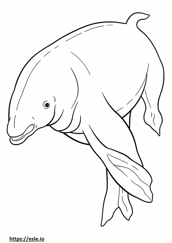 Bowhead Whale Friendly coloring page
