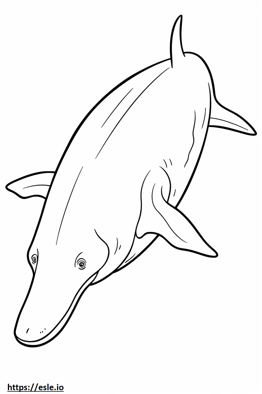 Bowhead Whale ystävällinen värityskuva