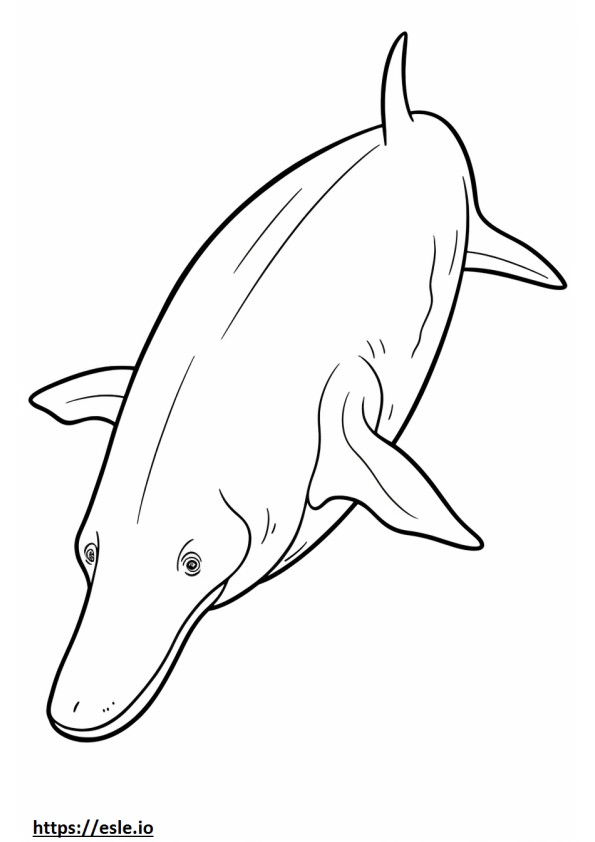 Apto para ballenas de Groenlandia para colorear e imprimir