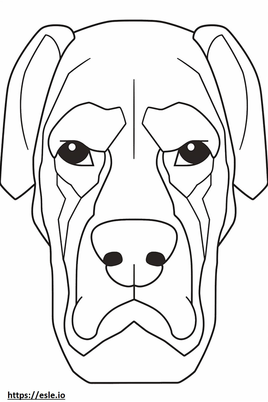Cara de cachorro boxer para colorir