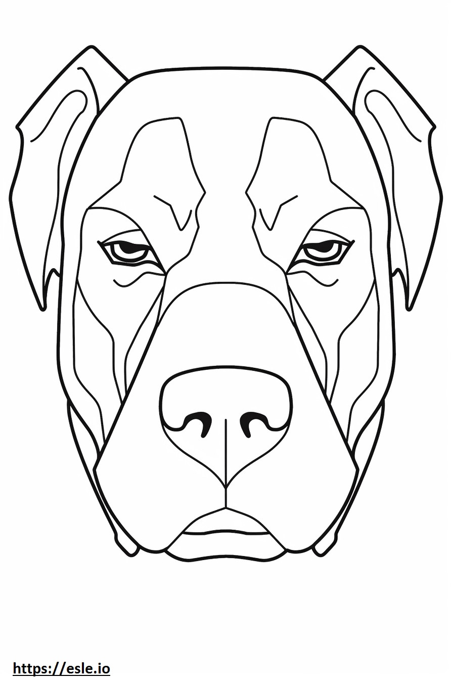 Coloriage Visage de chien boxeur à imprimer