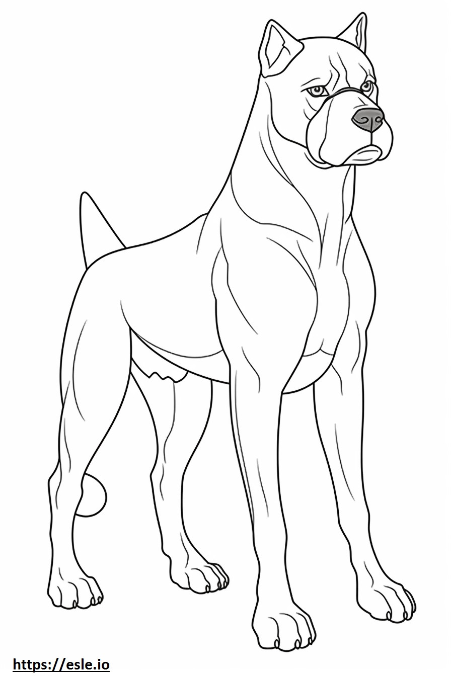 Boxer Dog full body coloring page