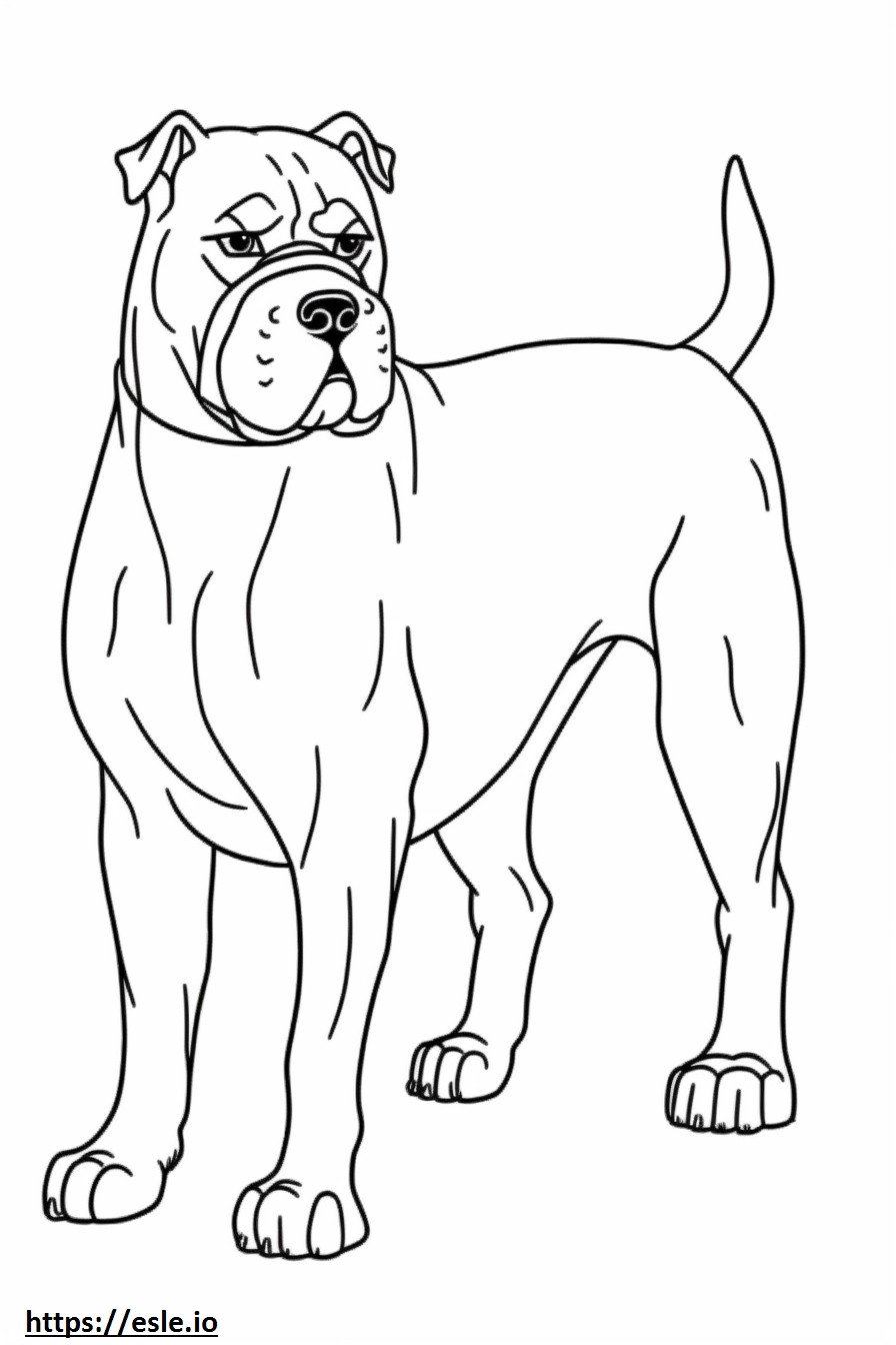 Boxer Dog baby coloring page