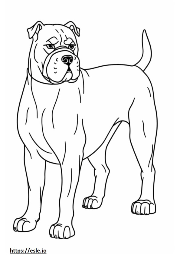 Perro Boxer bebe para colorear e imprimir