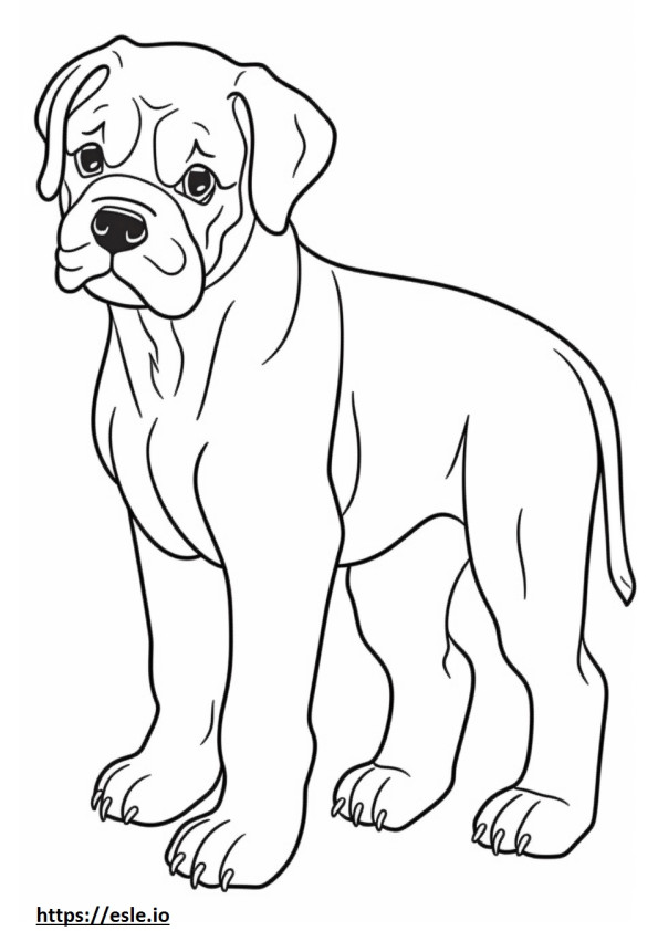 Boxer Dog baby coloring page