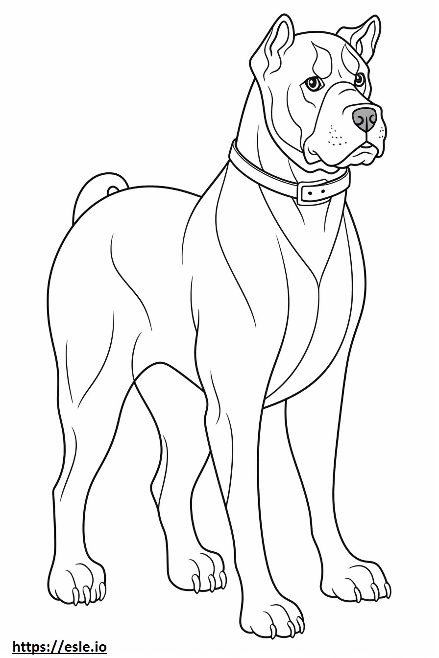 Boxer-Hund-Cartoon ausmalbild
