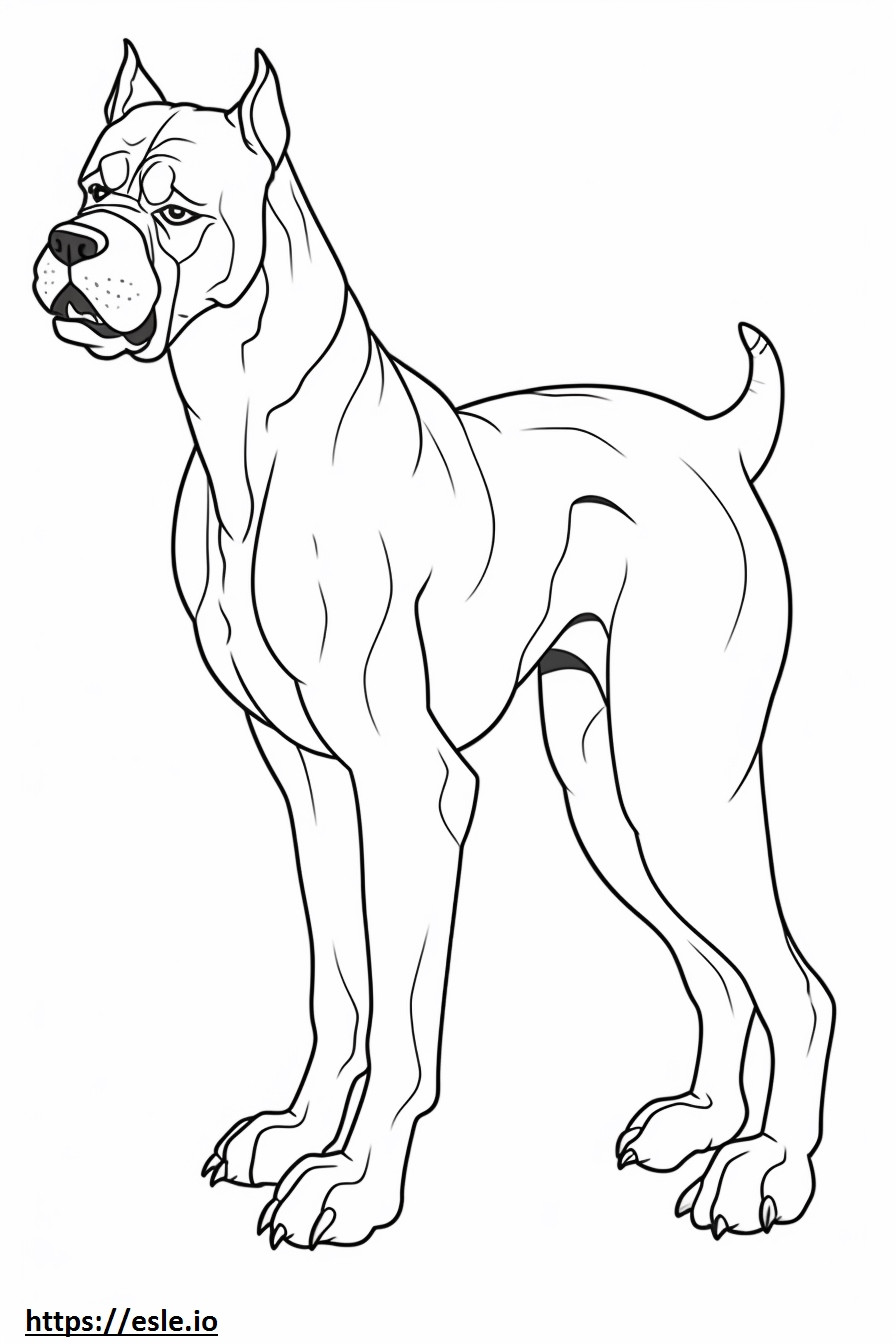 Coloriage Caricature de chien Boxer à imprimer