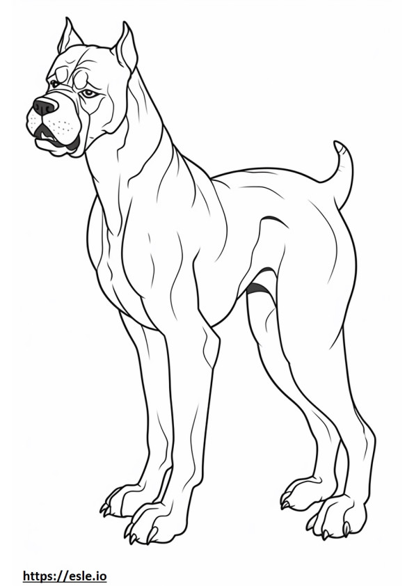 Desen animat câine boxer de colorat