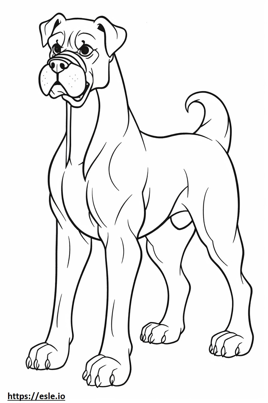 Dibujos animados de perro boxer para colorear e imprimir