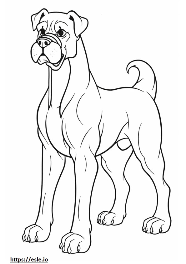 Boxer Dog cartoon coloring page